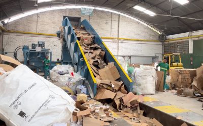 relatório anual, logística reversa, sustentabilidade, gestão de resíduos, economia circular, conformidade ambiental, leis ambientais, relatórios empresariais, responsabilidade ambiental, Reversa.